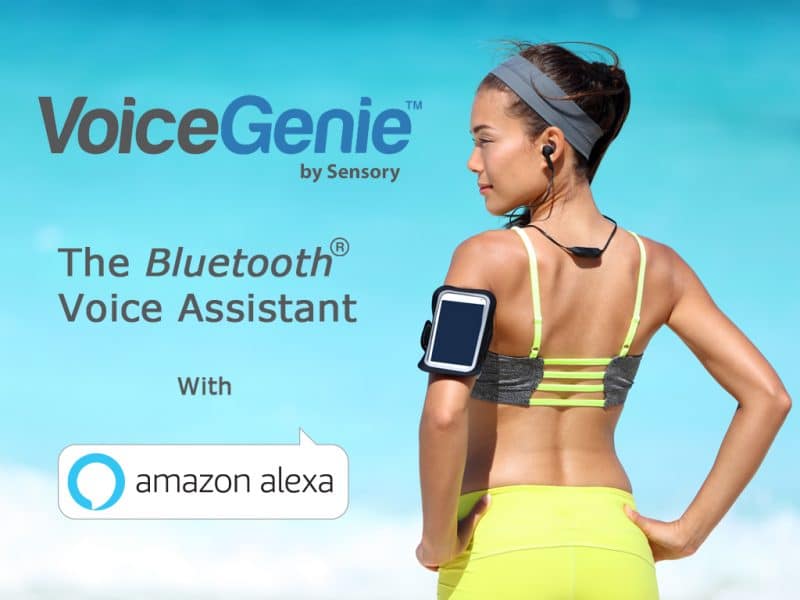 Virtual Assistants coming to an Ear Near You!