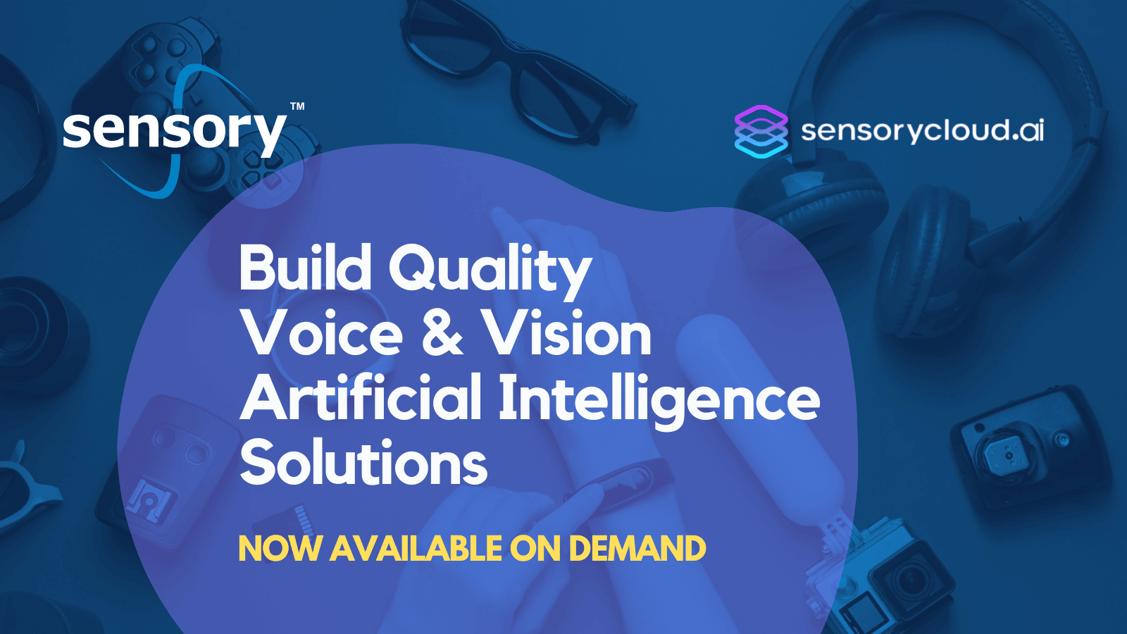 Build Quality Voice & Vision AI Solutions, Webinar Transcript