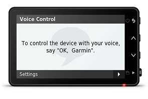 Garmin Dash Cam™ Live